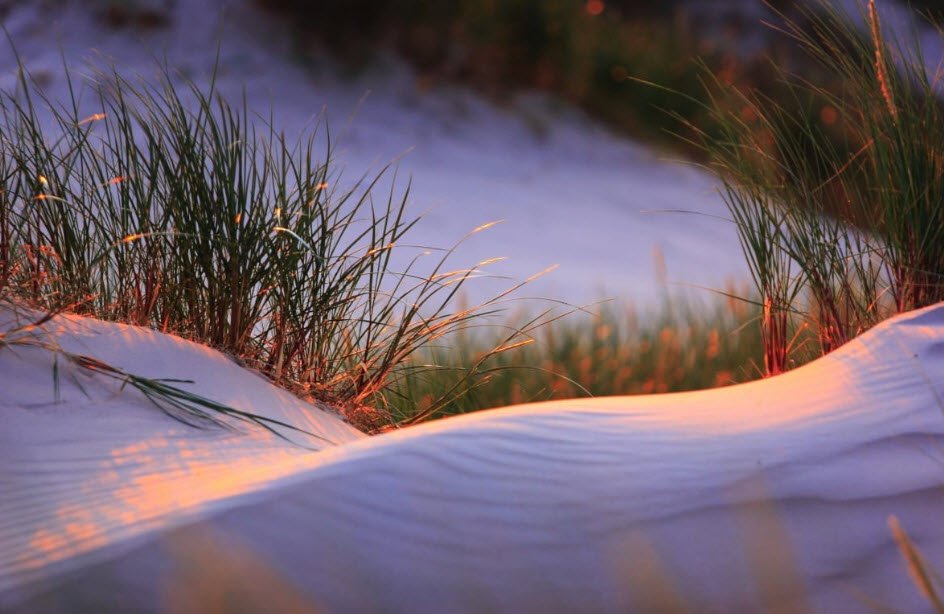Slowinski National Park, Słowiński, Pomeranian, Poland